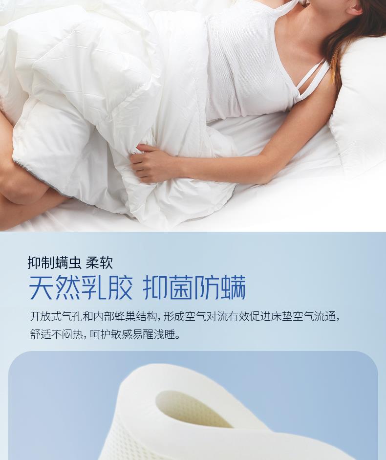 10-抗干擾靜音系列-舒脊[4].JPG