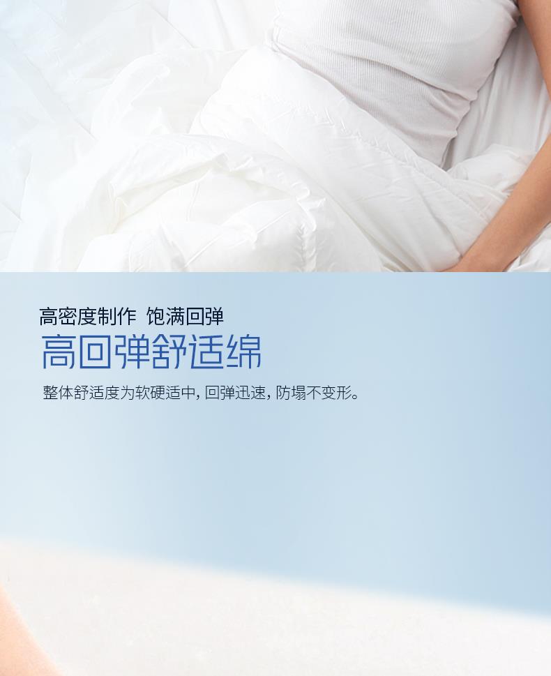 7-經(jīng)典客房系列-貴雅[4].JPG